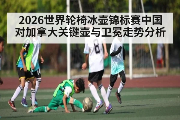 2026世界轮椅冰壶锦标赛中国对加拿大关键壶与卫冕走势分析